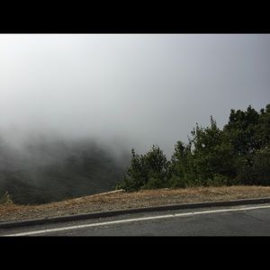 Meet your Posher, Karissa